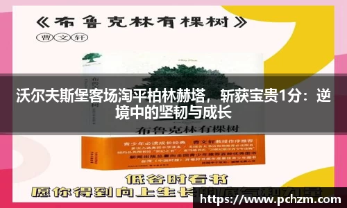 沃尔夫斯堡客场淘平柏林赫塔，斩获宝贵1分：逆境中的坚韧与成长