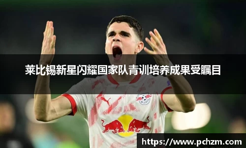 莱比锡新星闪耀国家队青训培养成果受瞩目