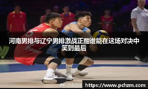 河南男排与辽宁男排激战正酣谁能在这场对决中笑到最后