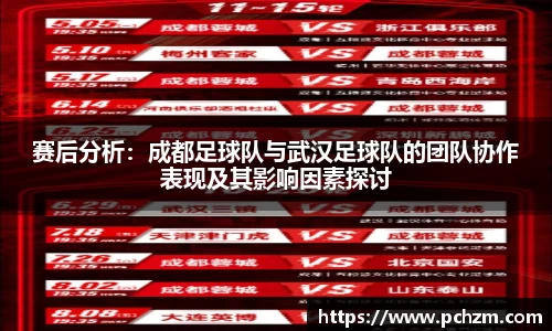 赛后分析：成都足球队与武汉足球队的团队协作表现及其影响因素探讨