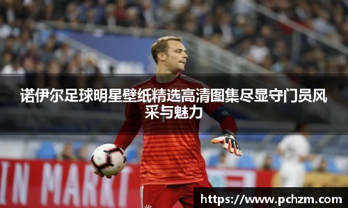 诺伊尔足球明星壁纸精选高清图集尽显守门员风采与魅力