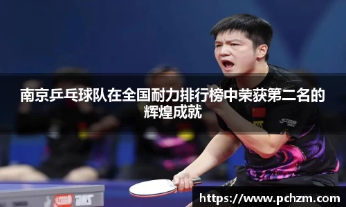 南京乒乓球队在全国耐力排行榜中荣获第二名的辉煌成就
