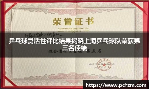 乒乓球灵活性评比结果揭晓上海乒乓球队荣获第三名佳绩